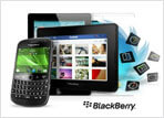 BlackBerry Web Application Development, BlackBerry Developers