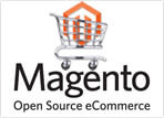 Magento eCommerce Development and Customization, magento website development