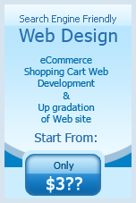 web developer india, website design india