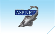 .net application development india .net web site design india