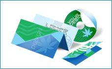 Brochure Designing india, CD Cover Design india, india web design, web site design india, web designing company india, web designer in india, design india web, india web designer, web site designing company india, web designing company in india, web designer company