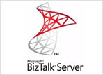Microsoft BizTalk Servicer