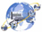 Web Application Development, Portal Development